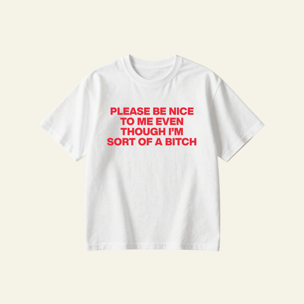 BE NICE OVERSIZED TEE