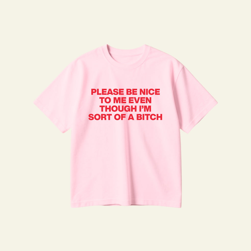 BE NICE OVERSIZED TEE