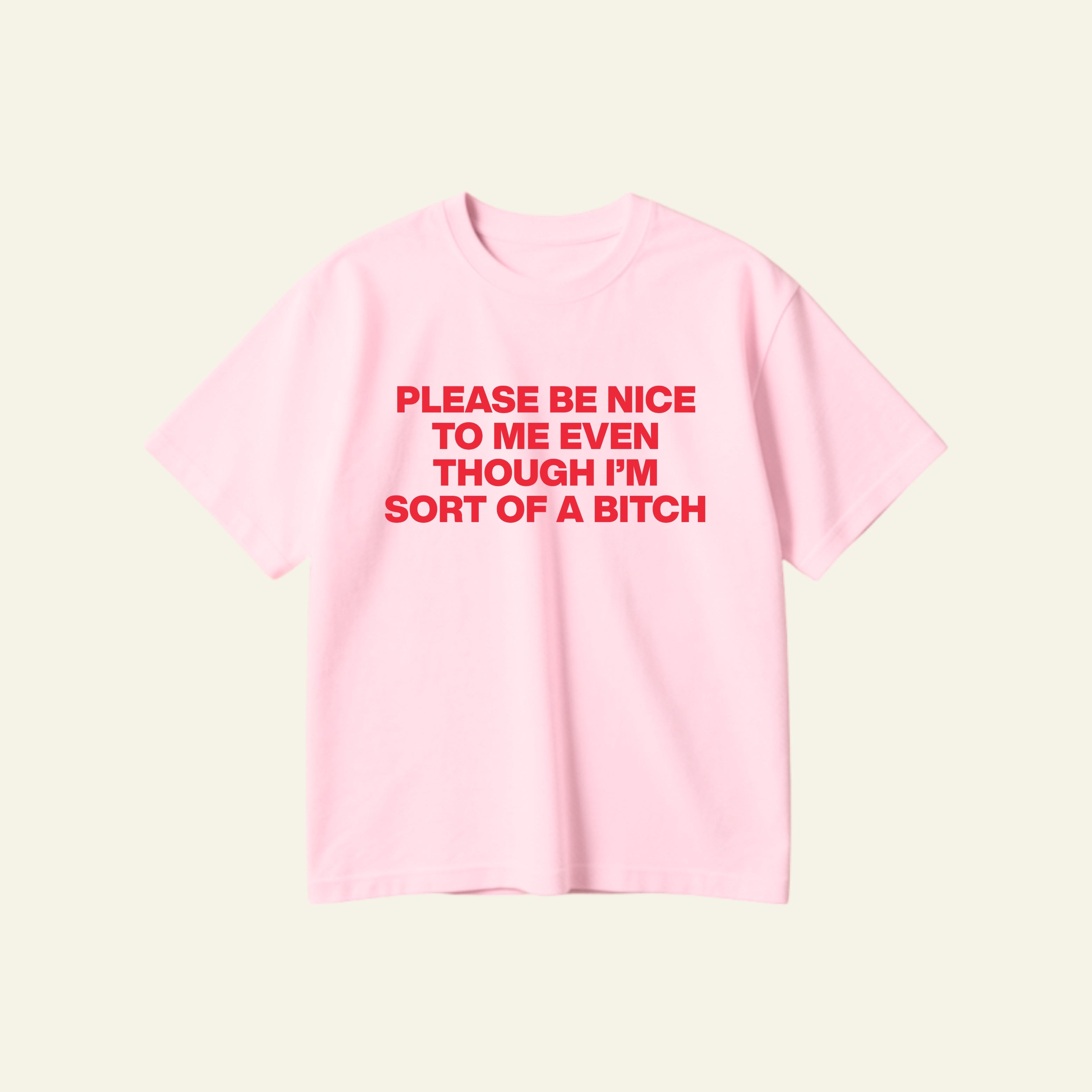 BE NICE OVERSIZED TEE