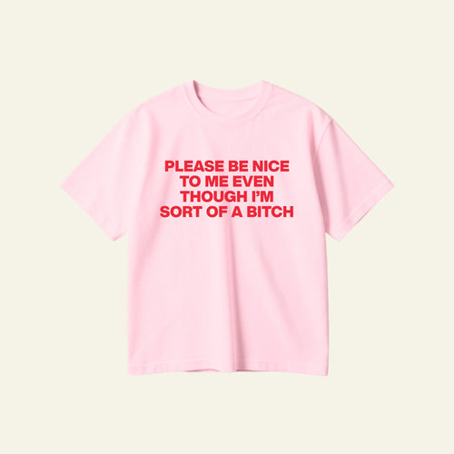 BE NICE OVERSIZED TEE